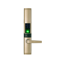 Биометрические замки